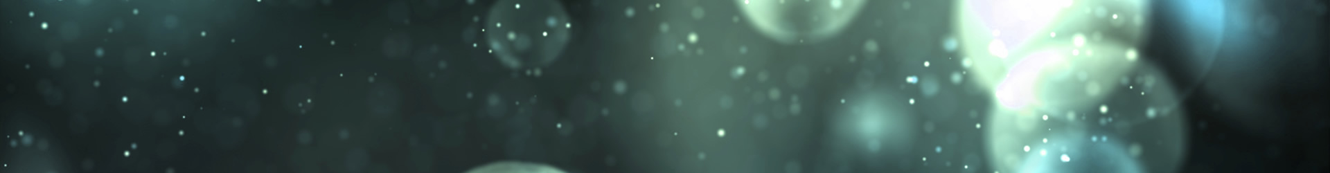 有限会社　ユニオン保険サービス　愛知県碧南市